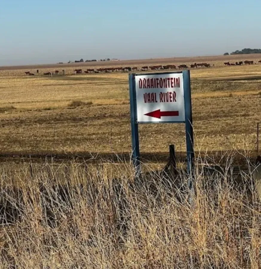 Vaal River bank near Parys | River Plot - North West - Parys - Vaal River