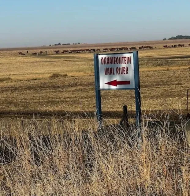 Vaal River bank near Parys | River Plot - North West - Parys - Vaal River