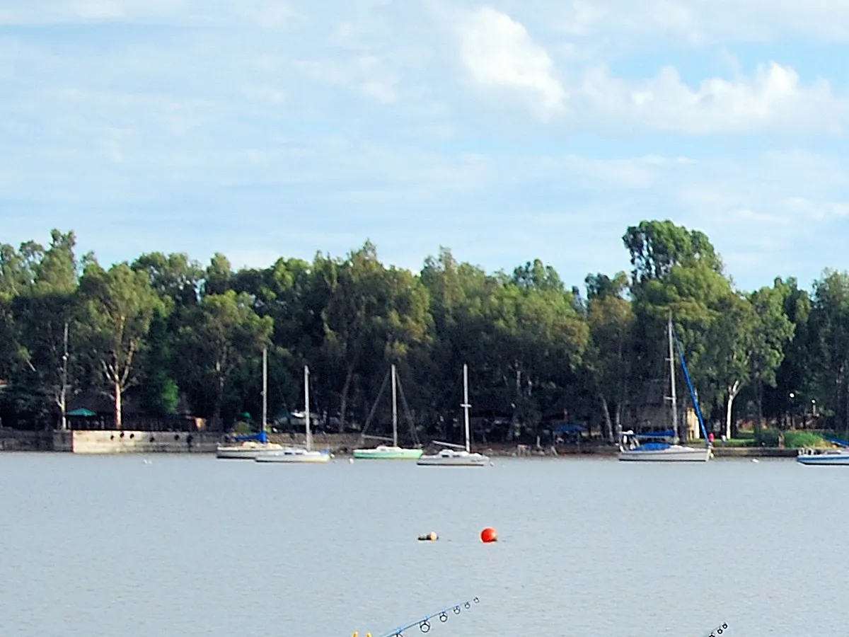 Open river bank | River Plot - North West - Parys - Vaal River