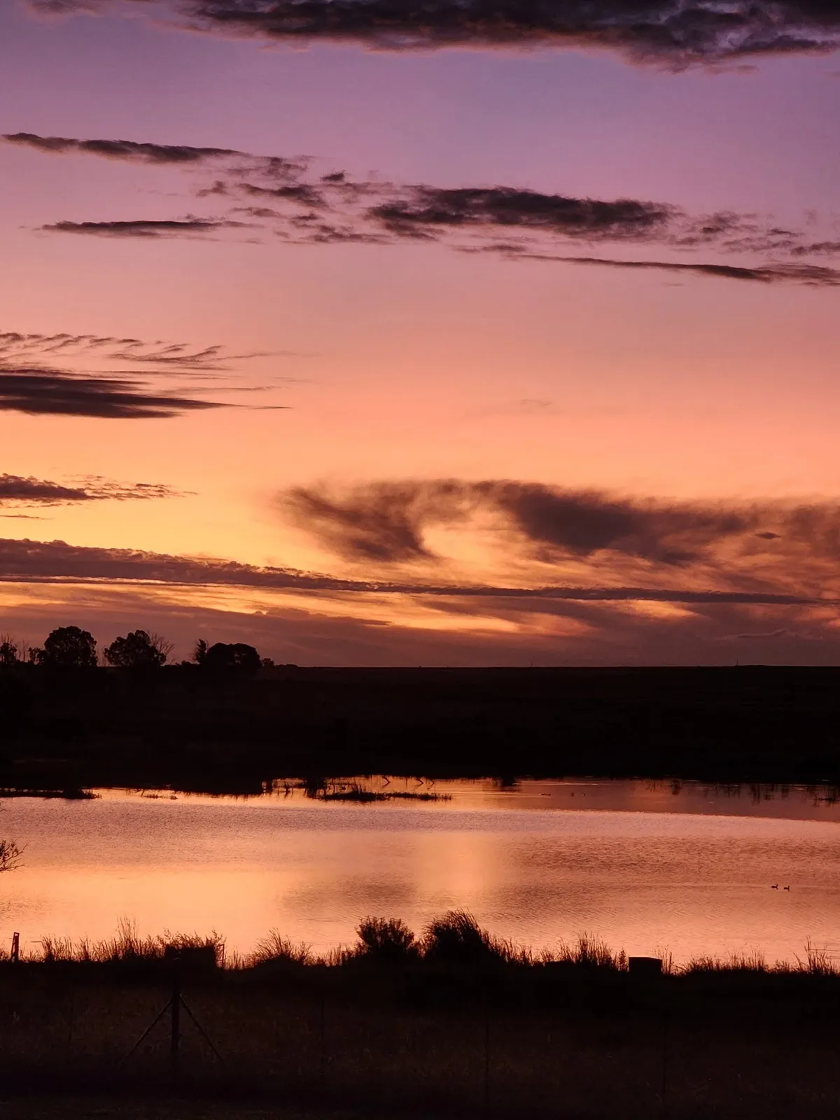 Sunset | Bobbejaan Kloof Bass & Carp Lodge - North West - Hartbeesfontein