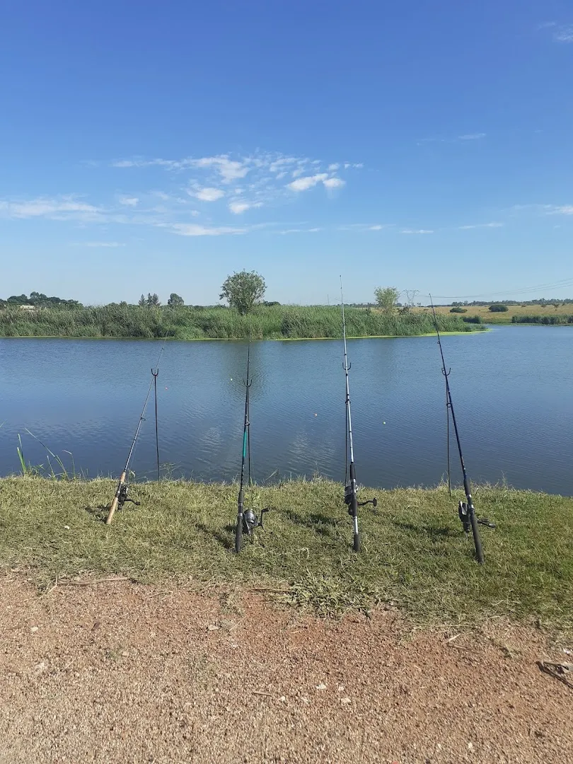 Camping area by the water | Bassbay - Gauteng - Haakdoringboom
