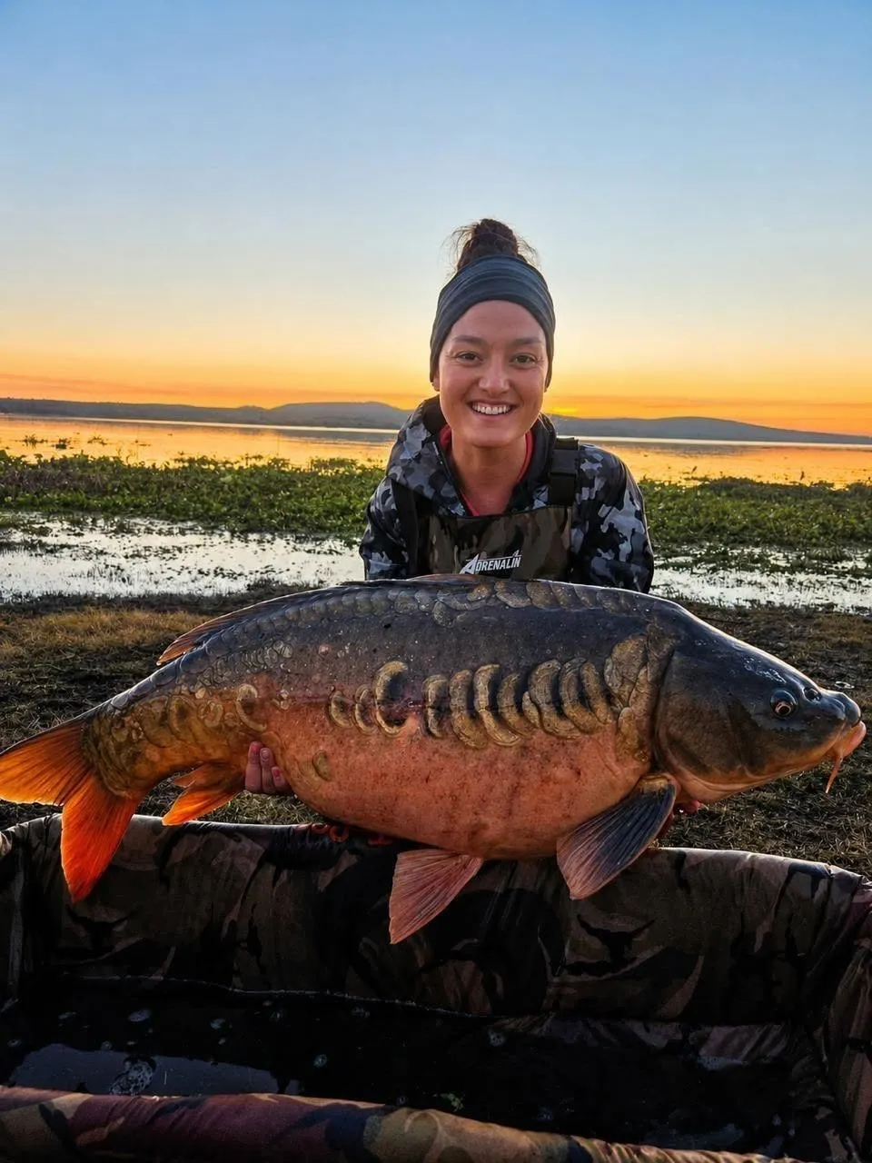 Sunset carp on Roodekoppies Dam | Roodekoppies Hengeloord - North West - Brits - Roodekoppies Dam