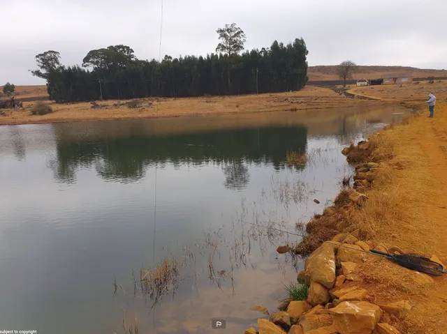 dam | Uitkomst Trout Cottages - Mpumalanga - Machadodorp