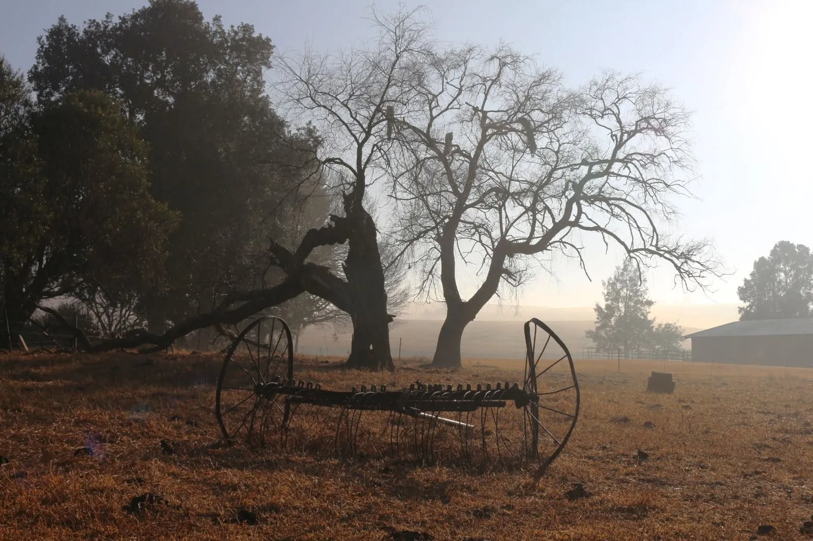 Morning mist over the farm | Uitkomst Trout Cottages - Mpumalanga - Machadodorp