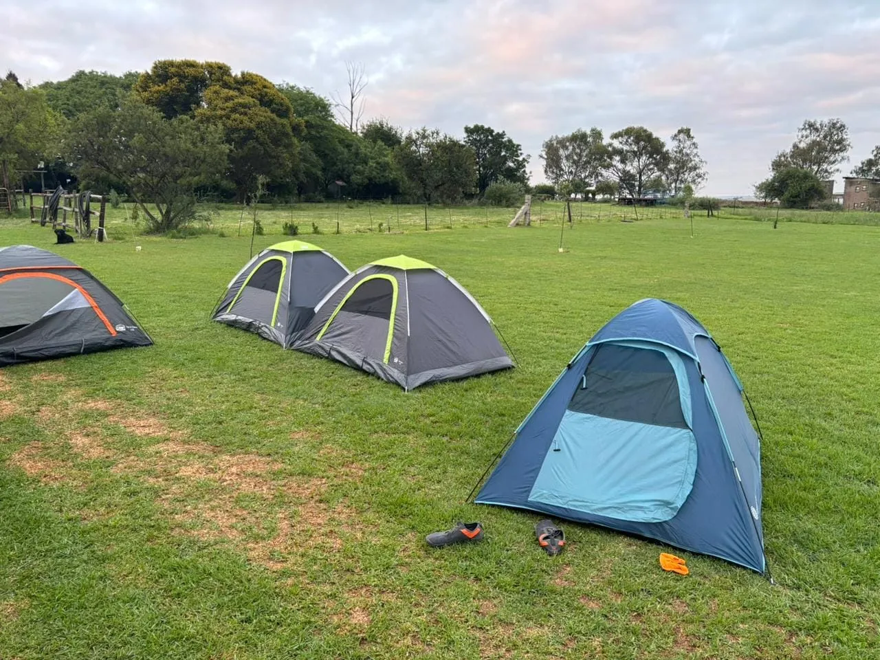 Tents on the camping lawn | The Crooked Roof - Gauteng - Magaliesburg
