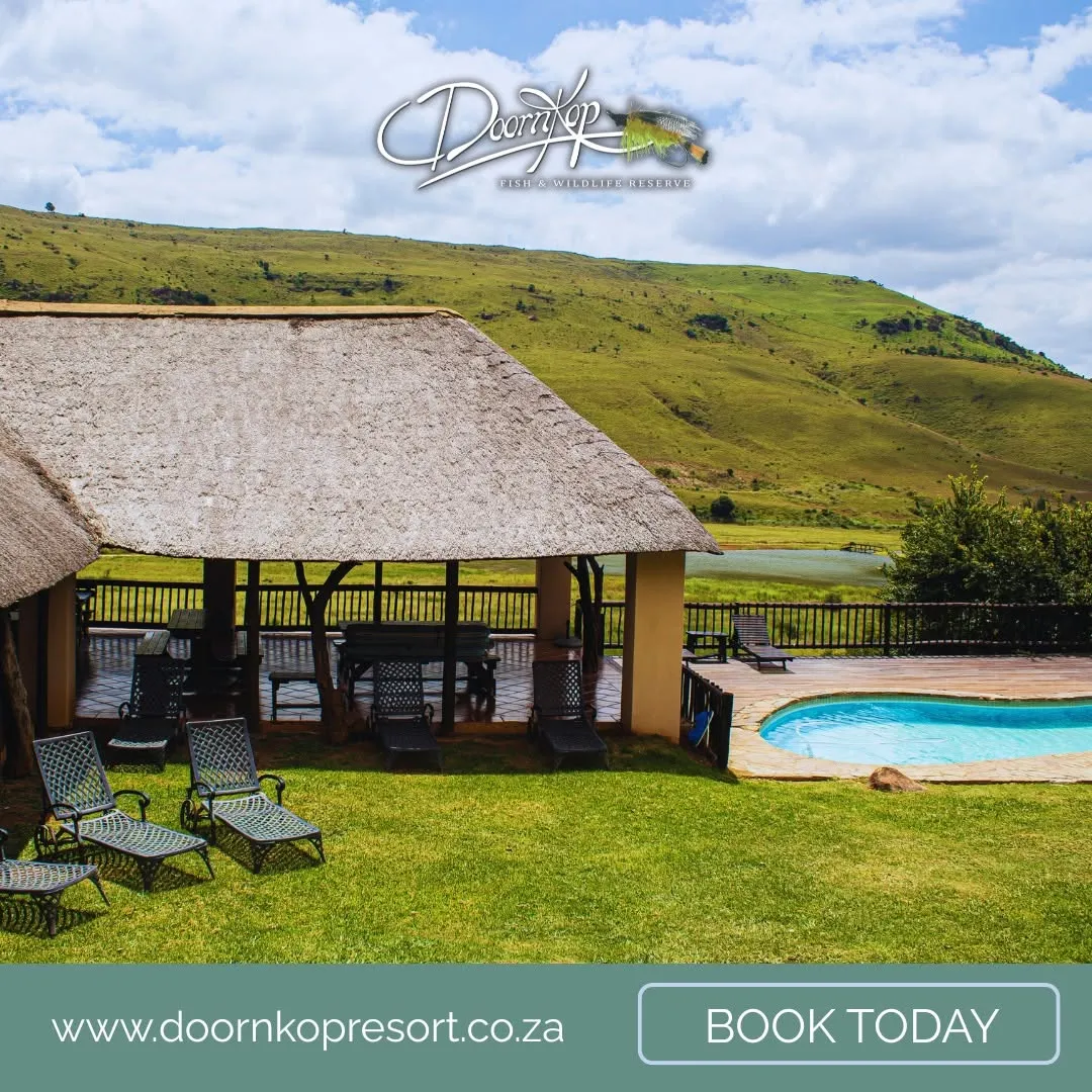 Resort pool and thatched chalets | Doornkop Resort - Mpumalanga - Carolina - Doornkop trout dams