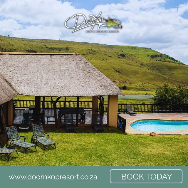 Resort pool and thatched chalets | Doornkop Resort - Mpumalanga - Carolina - Doornkop trout dams
