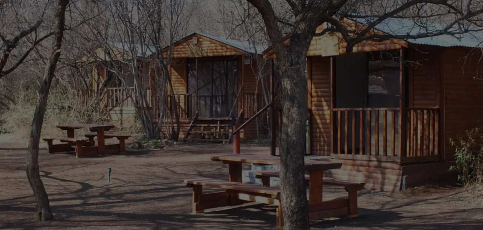 Log cabin units among the trees | Sunrise River Lodge - Free State - Orkney - Vaal River