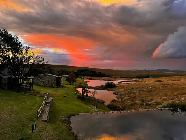Cottages overlooking trout dams at sunset | Treeferns Trout Lodge - Mpumalanga - Dullstroom