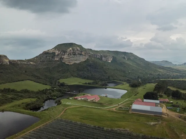 Aerial view of the farm and dams | Welgelegen Cherry Estate - Free State - Fouriesburg
