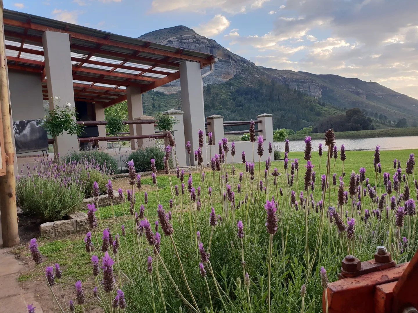 Guest house patio overlooking the dam | Welgelegen Cherry Estate - Free State - Fouriesburg