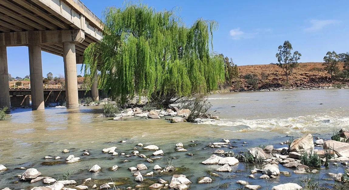 river | Rapids Paradise - Gauteng - Meyerton - Vaal River