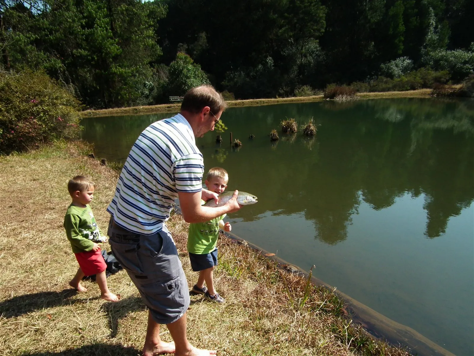 Rainbow trout from the dam | Cheerio Trout Fishing - Limpopo - Haenertsburg