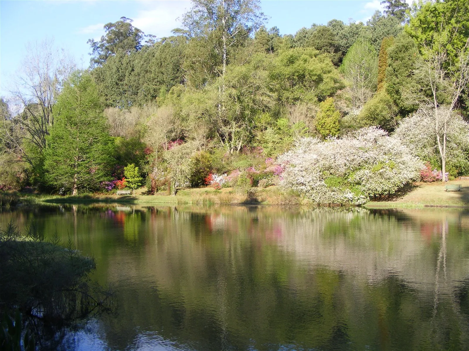 Trout dam with spring flowers | Cheerio Trout Fishing - Limpopo - Haenertsburg