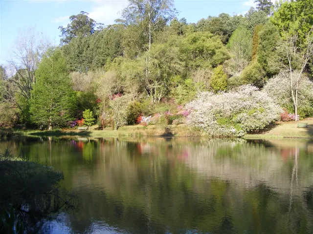 Trout dam with spring flowers | Cheerio Trout Fishing - Limpopo - Haenertsburg