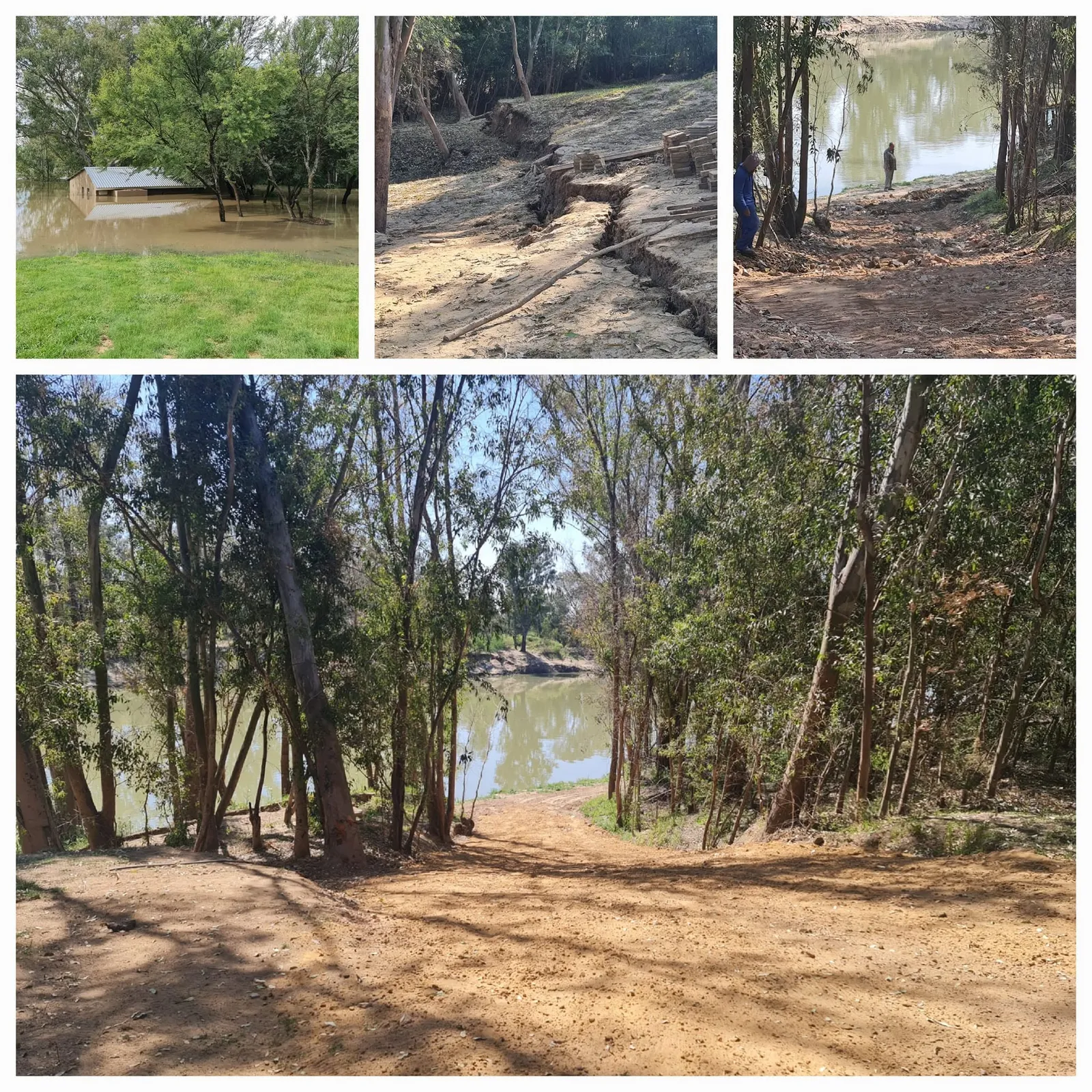Tree-lined path to the river | Dundee Fishing Resort - North West - Bloemhof - Vaal River