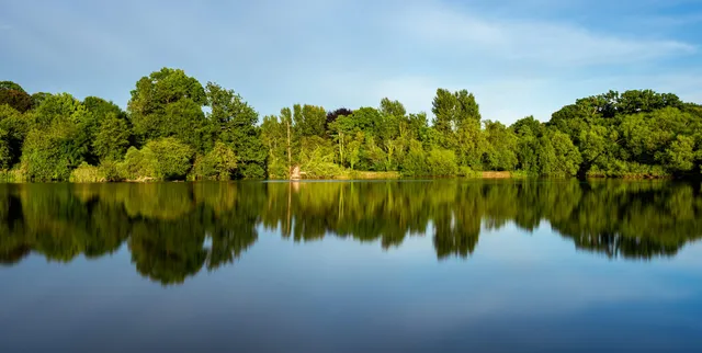 Spring-fed quarry lake | X-Factor Trout Farm - Gauteng - Edenvale - Edenvale quarry