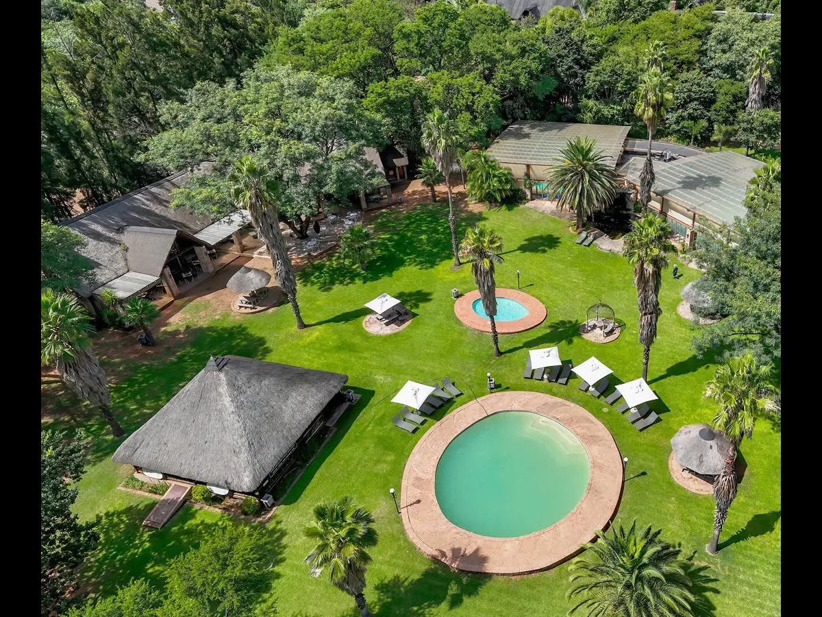Main swimming pool and lawns | Olifants River Lodge - Mpumalanga - Middelburg - Olifants River