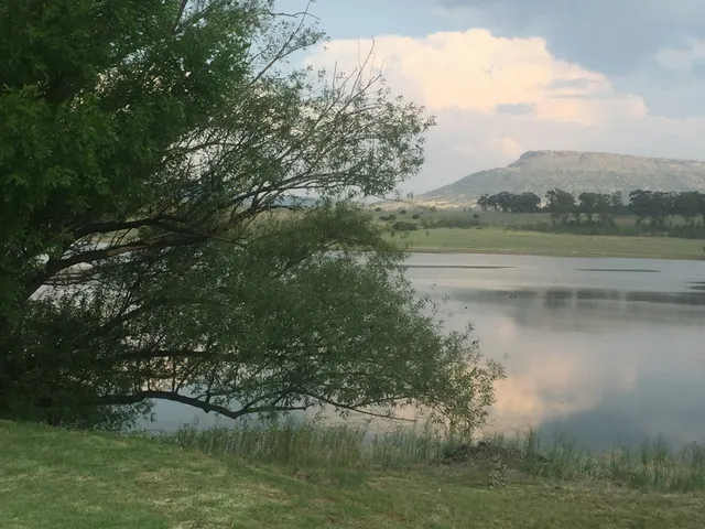Vrede Dam shoreline at sunset | Vrede Dam Emanzini Resort - Free State - Vrede - Vrede Dam