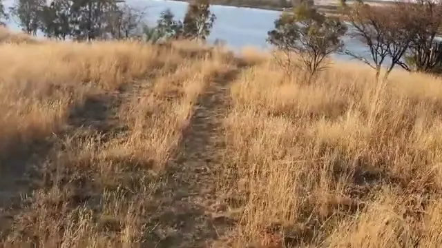 Grass bank down to Erfenis Dam | Oom Appel Se Plek - Free State - Theunissen - Erfenis Dam