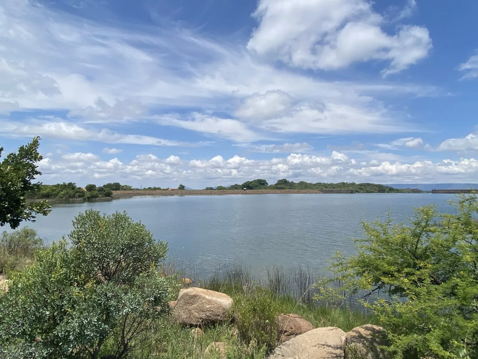 Farm dam shoreline | Plaas Paardebloem - Limpopo - Roossenekal