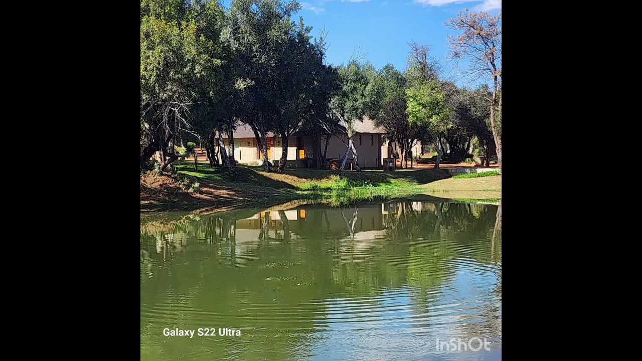 Thatched chalets on the Crocodile River | Shongololo Retreat - North West - Brits - Crocodile River