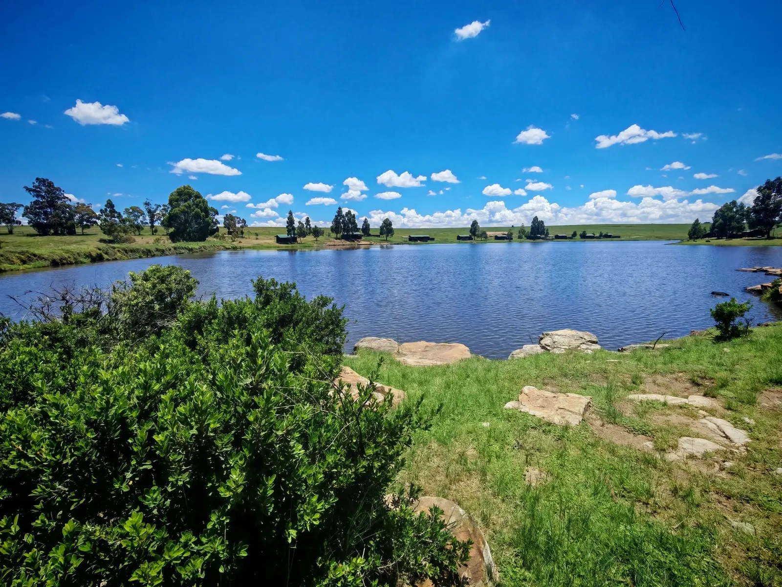 Private dam with chalets | Silver Water Lodge - Mpumalanga - Bethal