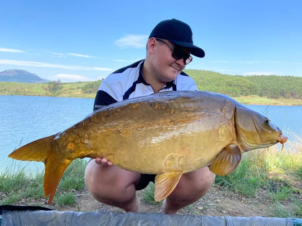 Angler with a mirror carp at the dam | Ebenezer Dam - Limpopo - Haenertsburg - Ebenezer Dam