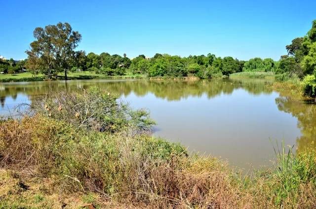 Struben Dam shoreline | Struben Dam Bird Sanctuary - Gauteng - Pretoria - Struben Dam