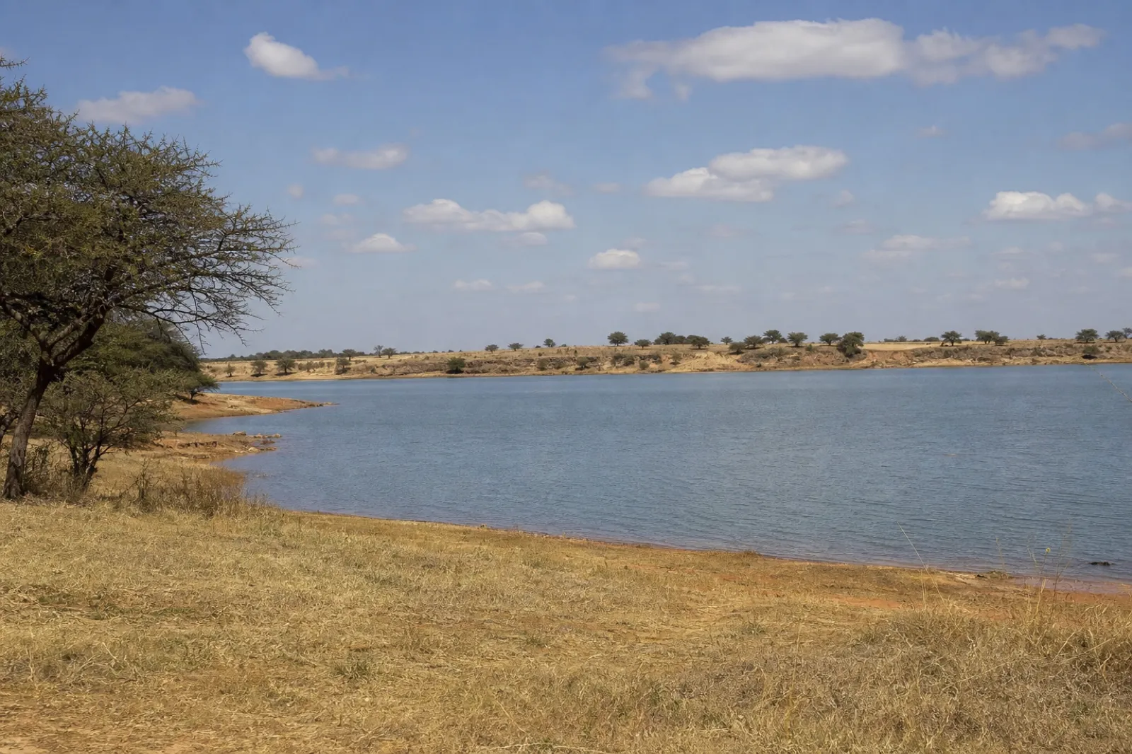 Dam | Reedbank Waters (Test) - Gauteng - Cullinan