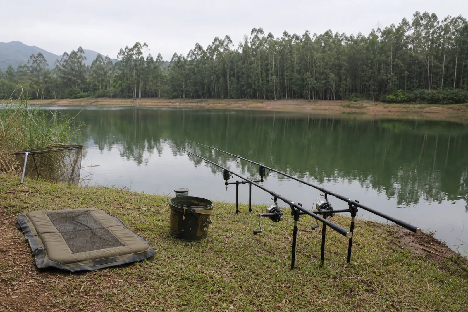 Day | Reedbank Waters (Test) - Day Visit - Gauteng - Cullinan