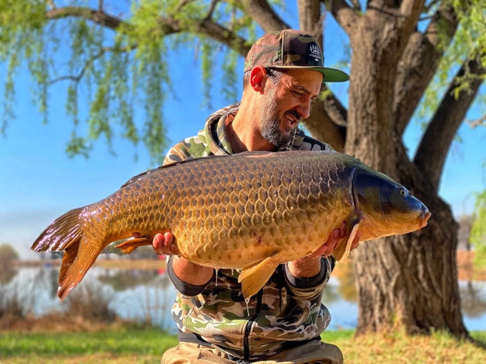 Common carp catch | African Hills - Gauteng - Bronkhorstspruit