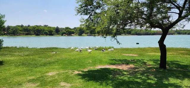 Roodeplaat Dam shoreline | Northern Transvaal Fishing Grounds - Gauteng - Pretoria - Roodeplaat Dam