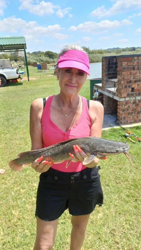 Dam bank with braai area | Betsaida Dam - Gauteng - Wallmannsthall - Betsaida Dam