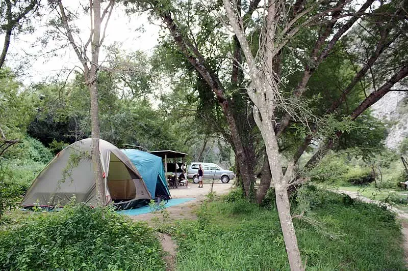 Shaded riverside campsite | Bruintjieskraal - Eastern Cape - Patensie - Groot River