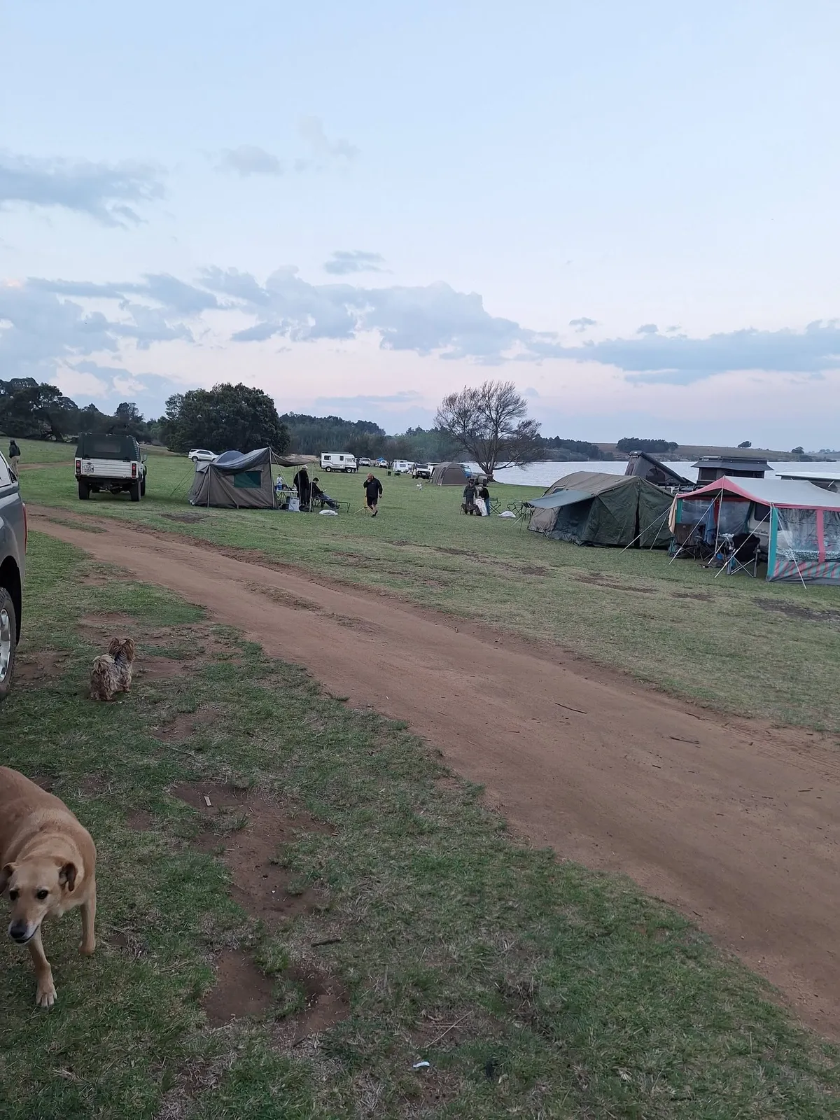 bank | Teen Die Meer - Mpumalanga - Chrissiesmeer - Chrissiesmeer