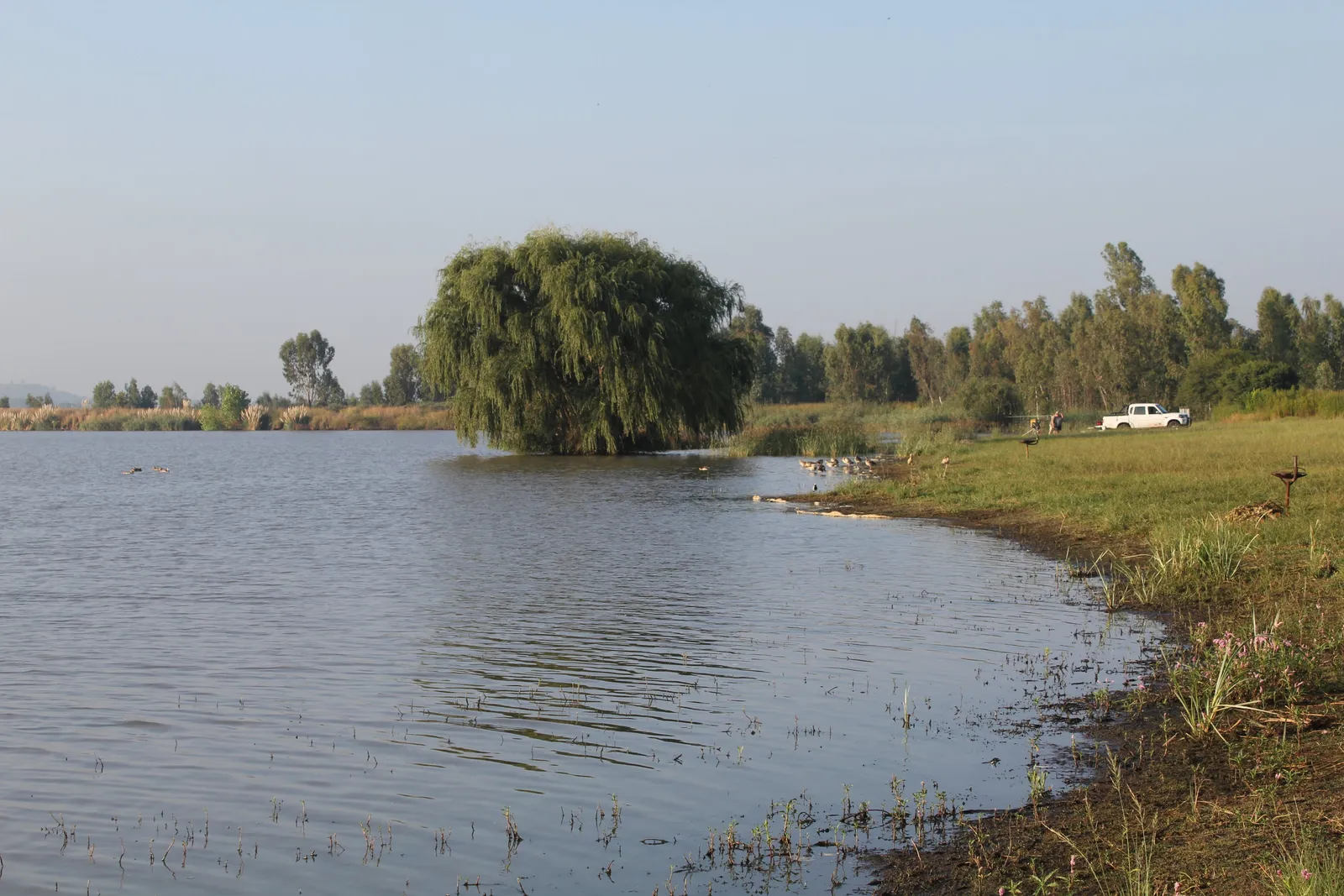 Anglers on the grass bank | Aston Lake - Gauteng - Springs