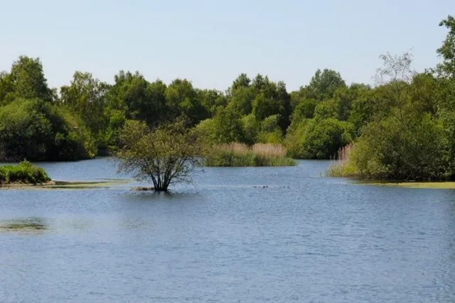 Nooitgedacht Dam shoreline | Nooitgedacht Dam Nature Reserve - Mpumalanga - Carolina - Nooitgedacht Dam
