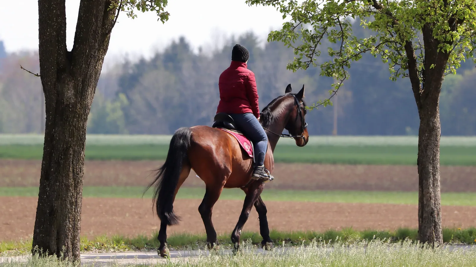 Horse riding in the Berg area | The Border Post - KwaZulu-Natal - Bergville - Sterkfontein Dam