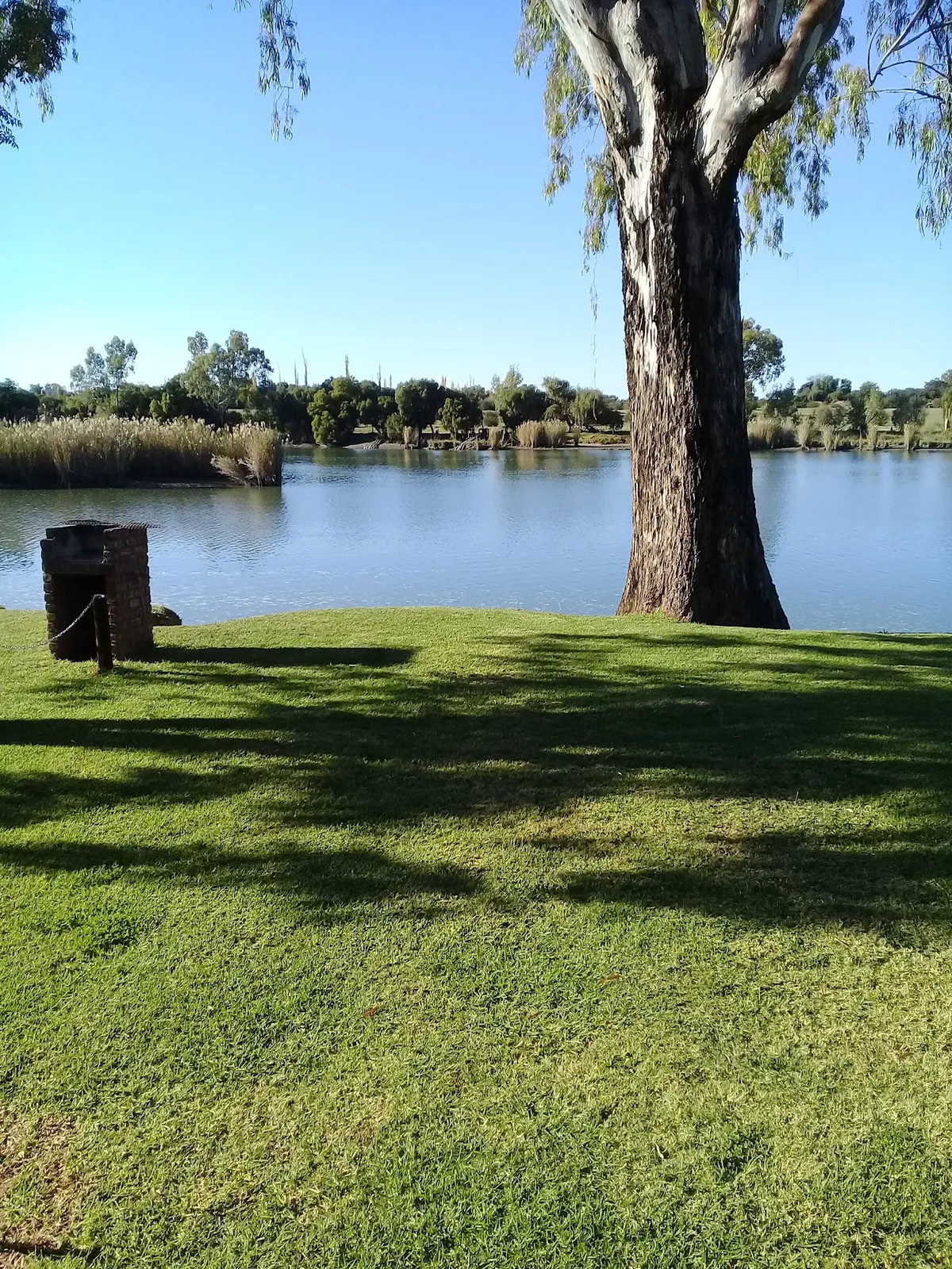 Grass campsite with braai stand | Christiana On Vaal - North West - Christiana - Vaal River