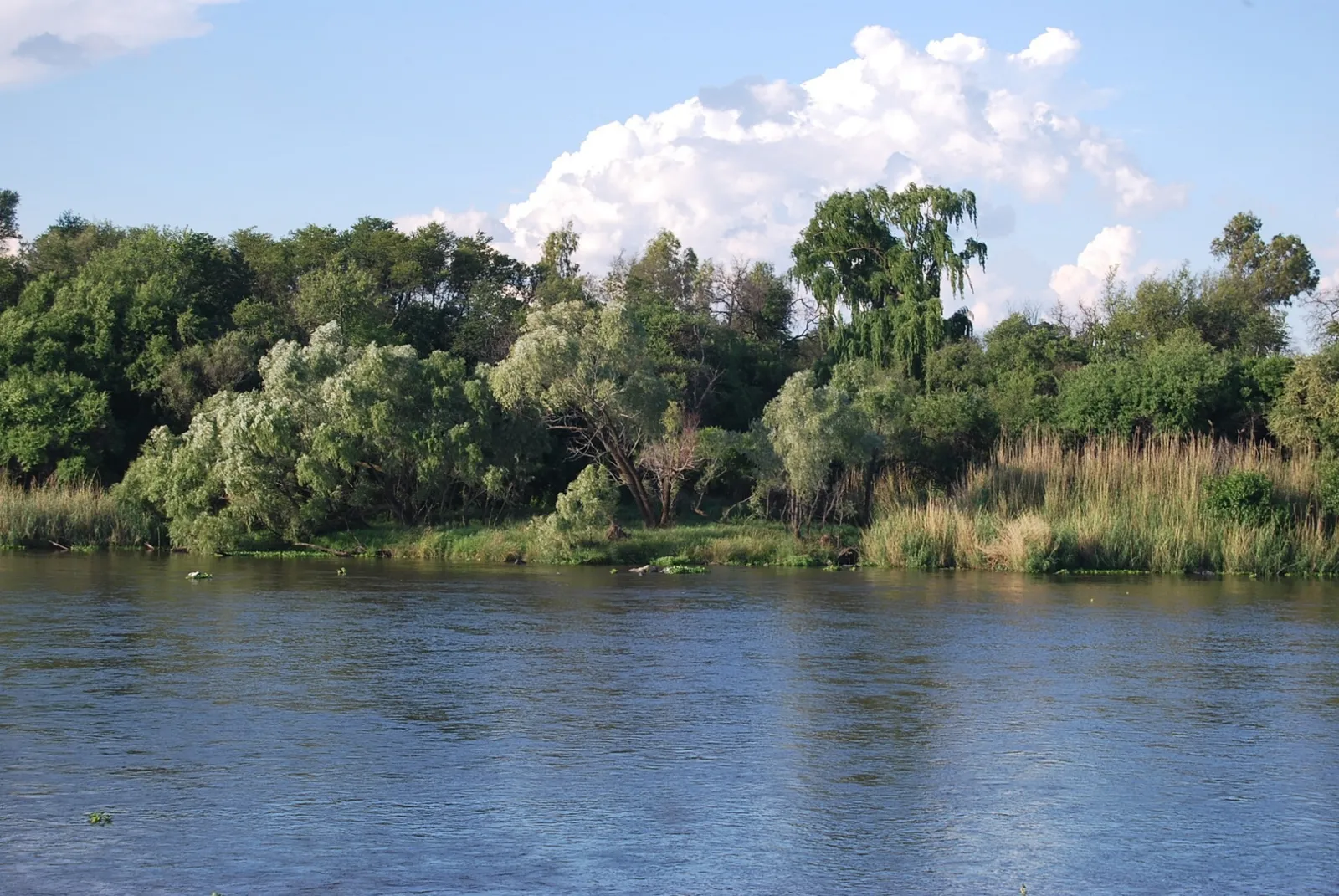 Wide Vaal River view | Paradyskop Boerdery - North West - Klerksdorp - Vaal River