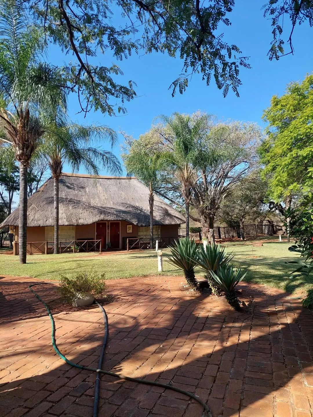 Thatched chalet exterior | Kolobe River Lodge - Limpopo - Lephalale - Mokolo River