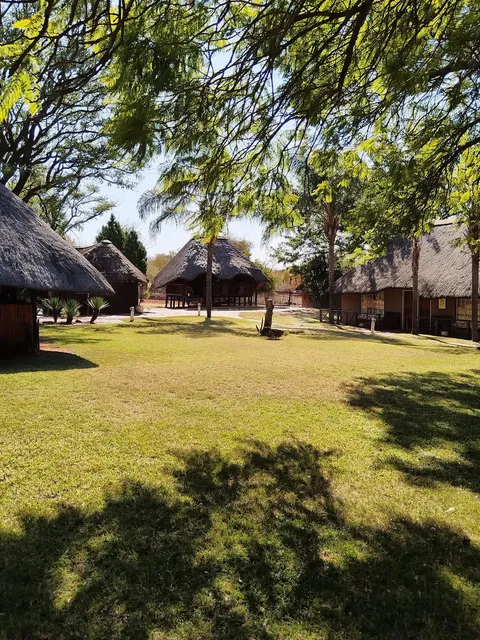 Thatched lodge buildings and lawn | Kolobe River Lodge - Limpopo - Lephalale - Mokolo River