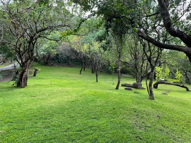 Grassy camping area | Cycad Rock Fishing Lodge - KwaZulu-Natal - Jozini - Jozini Dam (Pongolapoort)