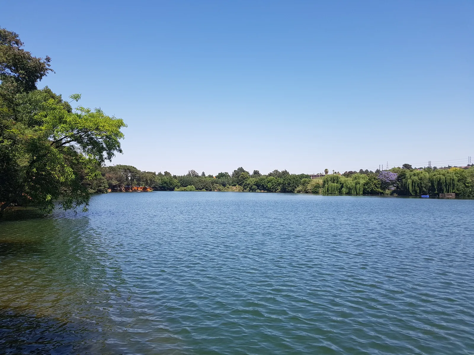 Dam and tree line | Aqua Paradiso - Gauteng - Primrose