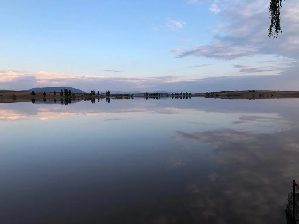 Still water and willow trees | Neades Nest - Free State - Zastron - Montagu Dam