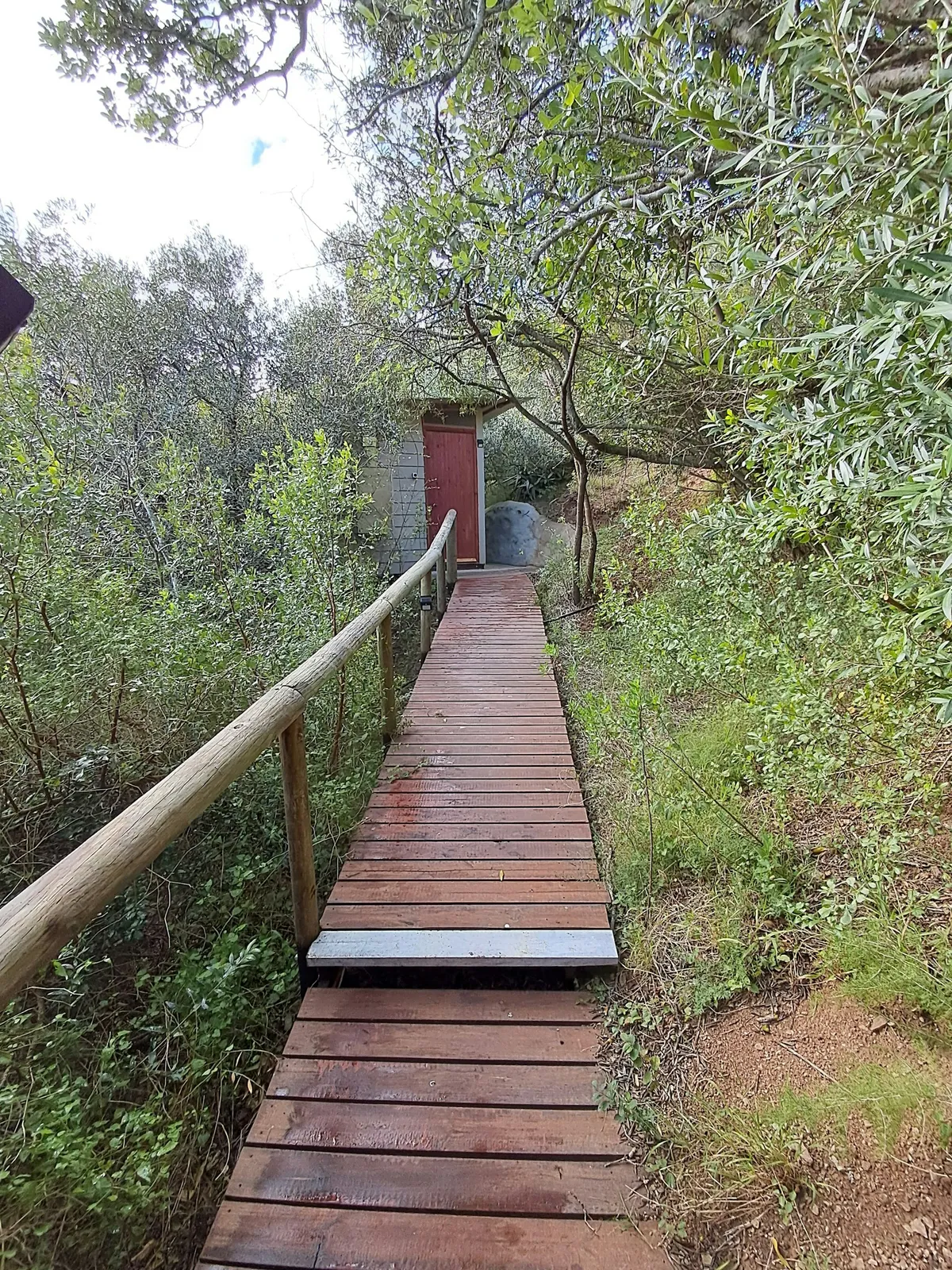 Boardwalk through bush to a door at Grysbokkie Tent, FleckVieh | Fleckvieh Guest Farm - Grysbokkie Tent - Western Cape - Swellendam