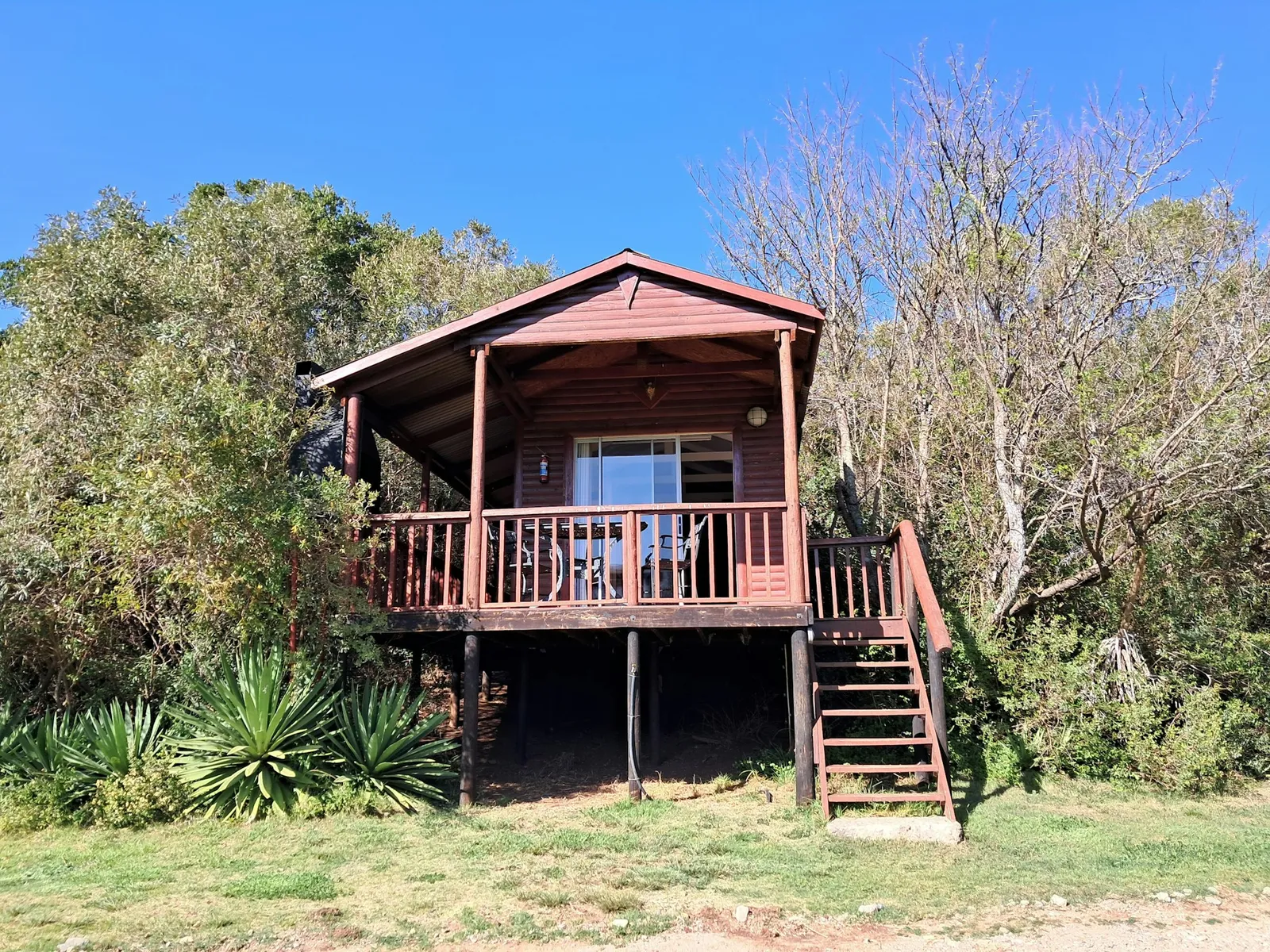 Timber cabin on stilts among trees at Bosbok, FleckVieh | Fleckvieh Guest Farm - Bosbok - Western Cape - Swellendam