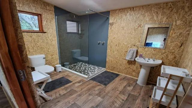 Bathroom with a glass shower and pedestal basin at Kudu, FleckVieh | Fleckvieh Guest Farm - Kudu - Western Cape - Swellendam