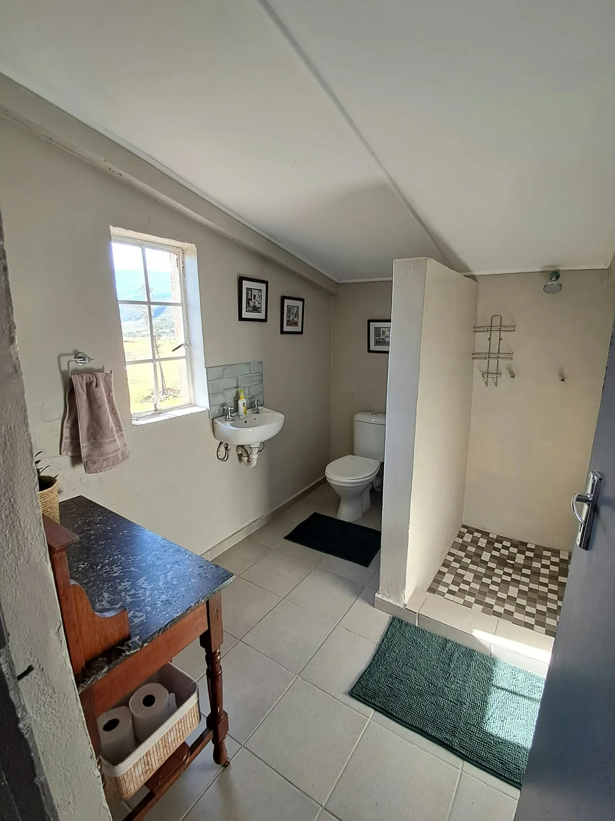 Bathroom with basin, toilet, and open shower at Chalet 1, FleckVieh | Fleckvieh Guest Farm - Chalet 1 - Western Cape - Swellendam